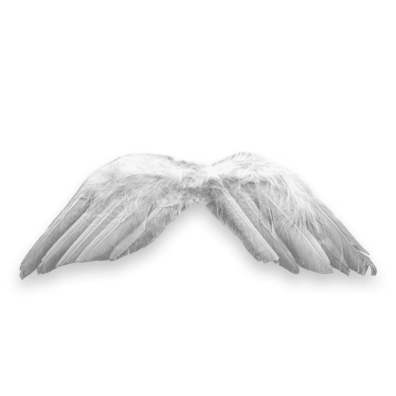 Angel Feather Ornament, 9"x 2.25", Angel Wings for DIY Crafts, 12-Pack