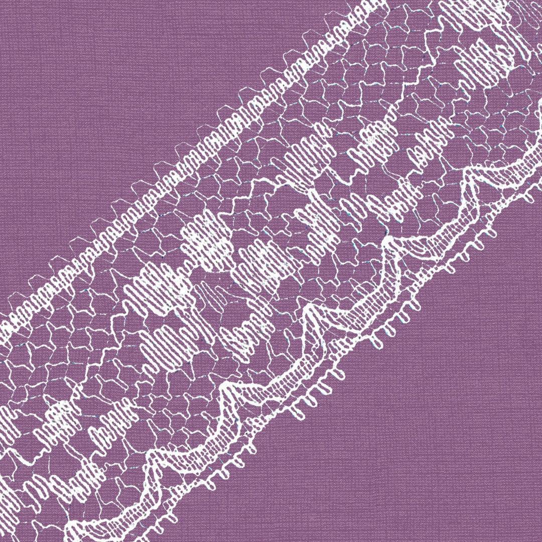 Cluny Lace, Spanish Cotton, Valencien, White, 1 inches
