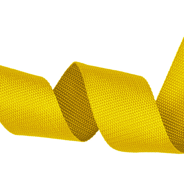 Webbing Strap, 100% Polyester, Color Variety, 2" Inches, 10Yards Pack