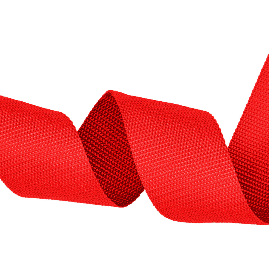Webbing Strap, 100% Polyester, Color Variety, 2" Inches, 10Yards Pack