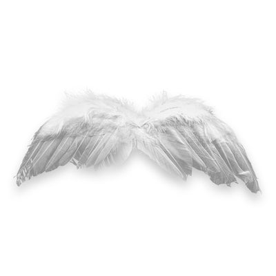 Angel Feather Ornament, 11"x 3.25", Angel Wings for DIY Crafts, 12-Pack